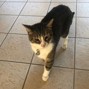 Meet your Posher, Ernie